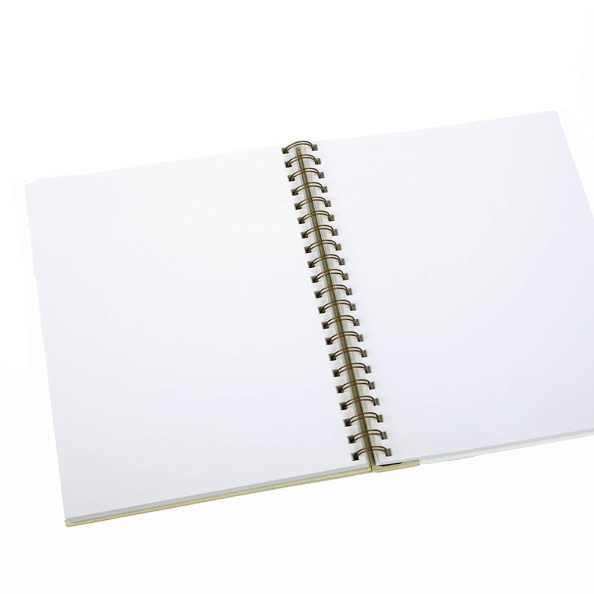 Color: A Sketchbook and Guide