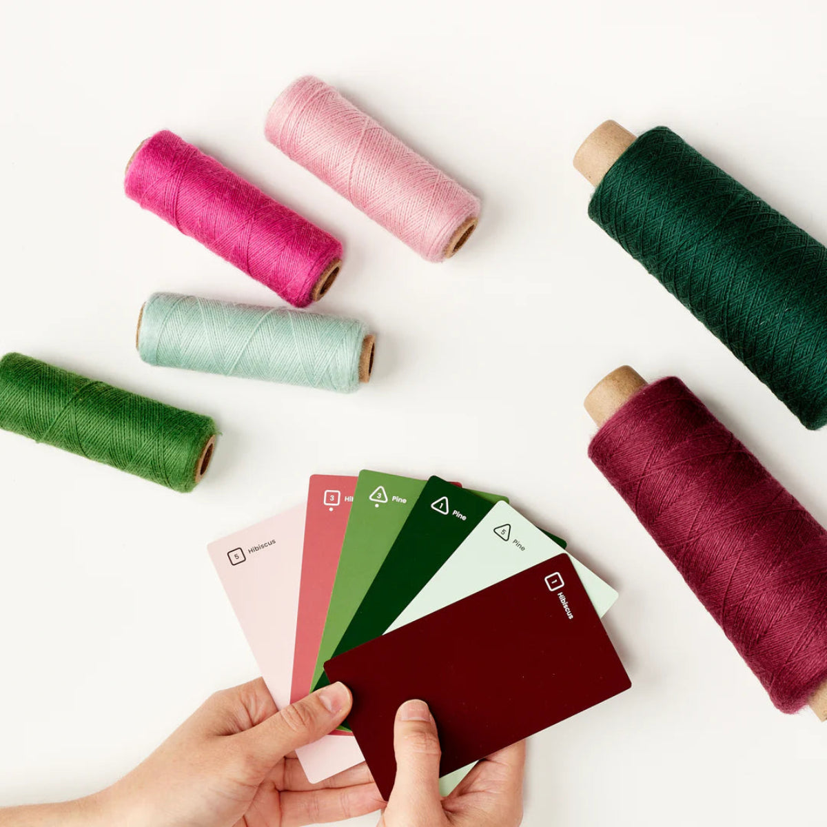 Palette Scout: Color Palette Cards