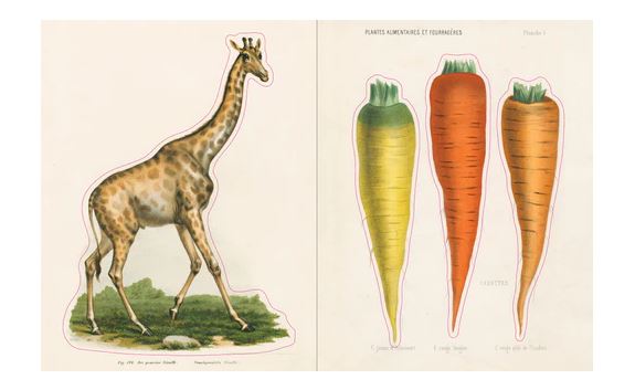 The John Derian Sticker Book