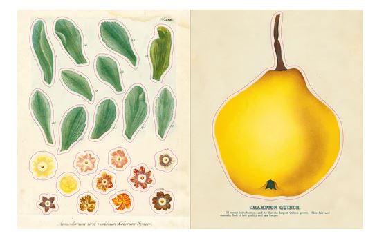 The John Derian Sticker Book