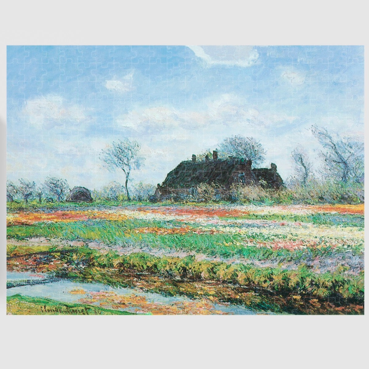 Tulip Fields At Sassenheim 300 pc Puzzle