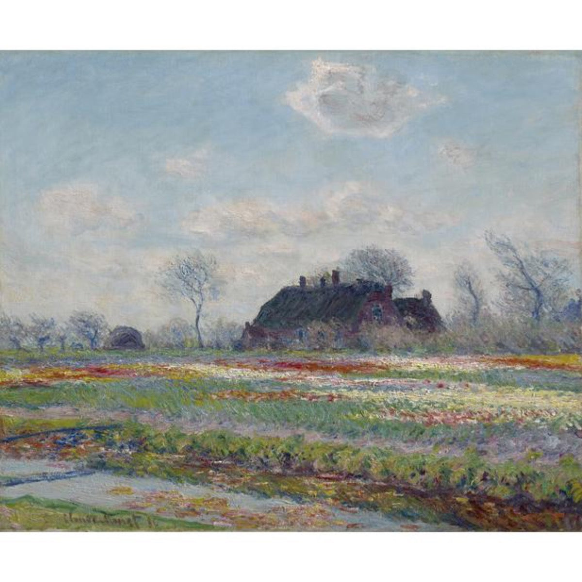 Tulip Fields at Sassenheim, 1886