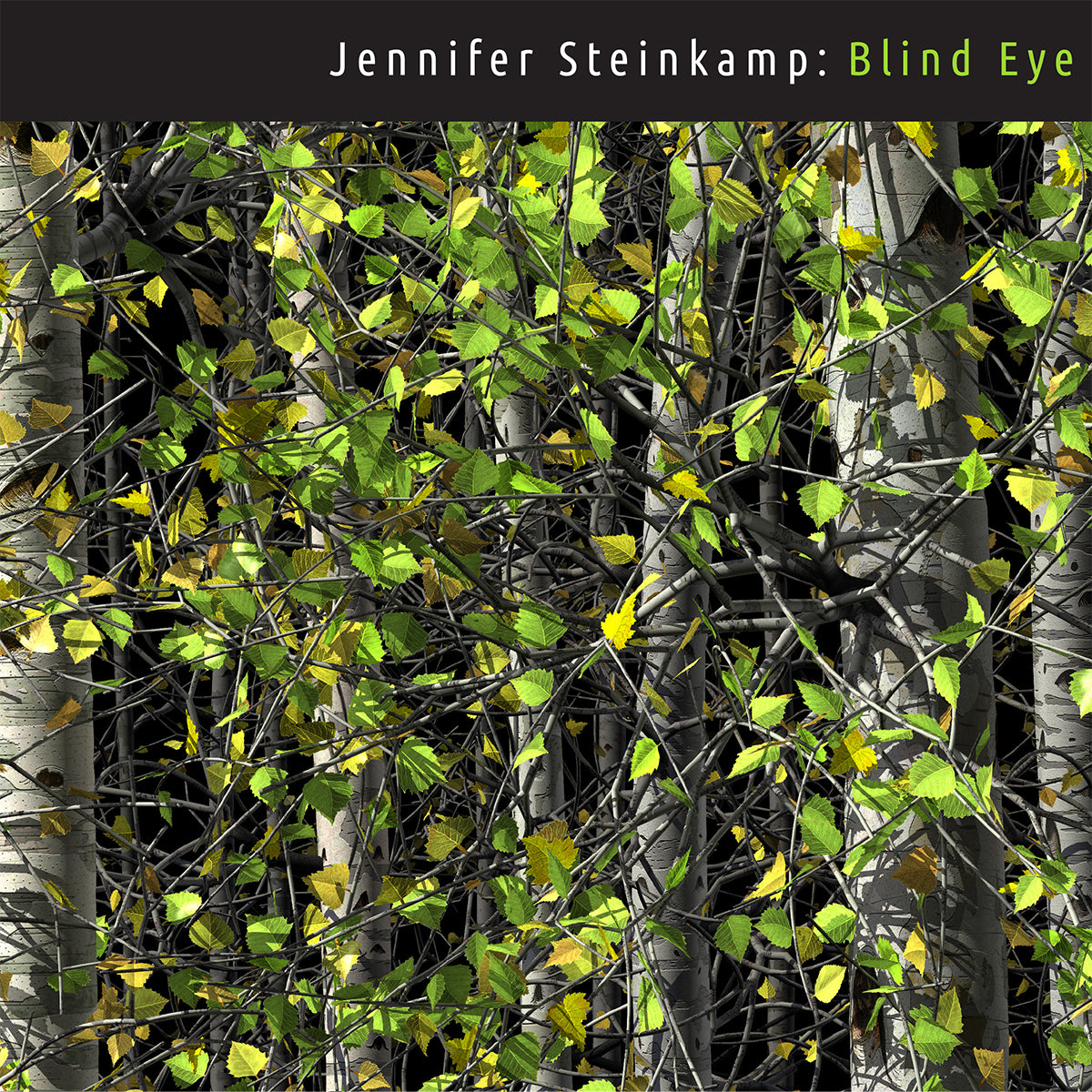 Jennifer Steinkamp: Blind Eye